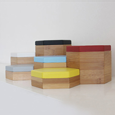 Evie Group New Products